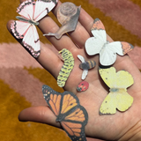 Bug Set