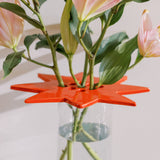 Star Flower Frog - Red