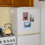 4x6 Magnetic Frames
