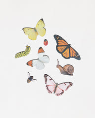 Bug Set