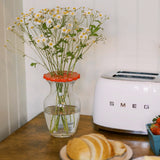 Sunshine Flower Frog