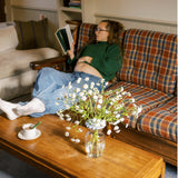 Sunshine Flower Frog