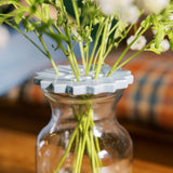 Sunshine Flower Frog