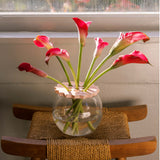 Sunshine Flower Frog