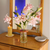 Sunshine Flower Frog