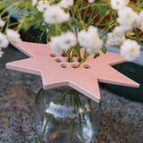 Star Flower Frog